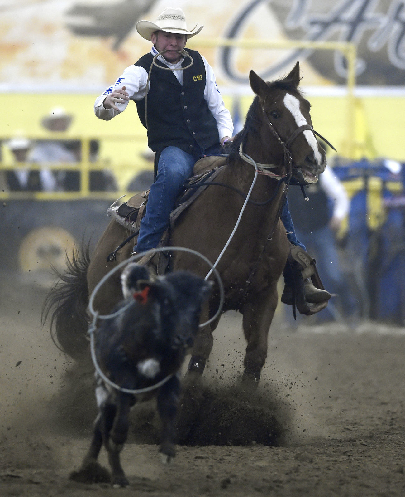CSI Rodeo, 2018